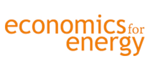 Economics For Energy